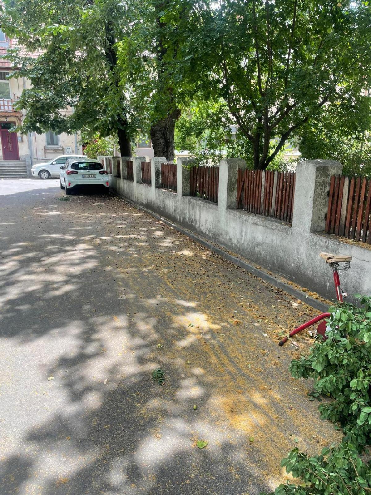 White Studio Bucharest Exterior photo